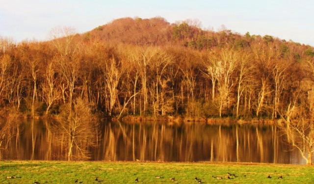 Tennessee Room At Tennessee Riverplace Chattanooga Ngoại thất bức ảnh